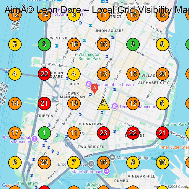 Aimé Leon Dore Clothing Store GeoGrid ranking map for New York NY